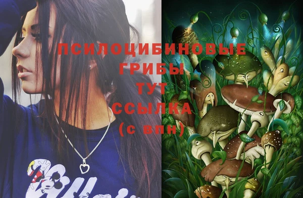 спайс Сосновый Бор