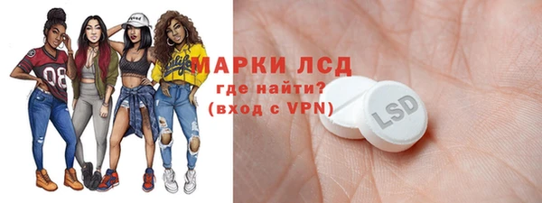 шишки Дмитровск