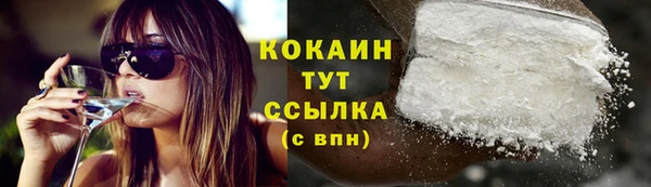 шишки Дмитровск