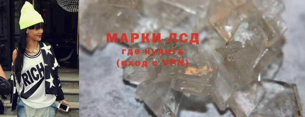 сатива Гусь-Хрустальный