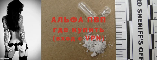 бошки Дмитров