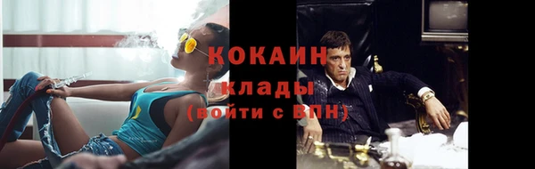 бошки Дмитров