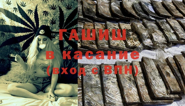 шишки Дмитровск