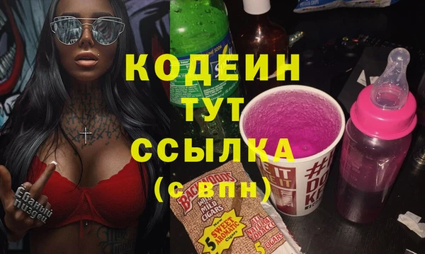 шишки Дмитровск