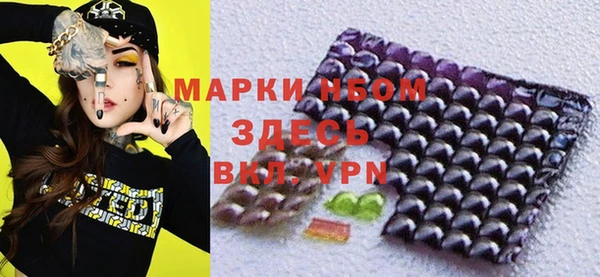 шишки Дмитровск