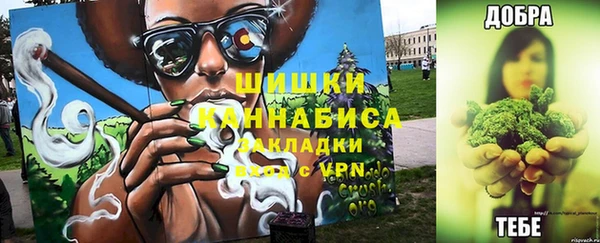 шишки Дмитровск