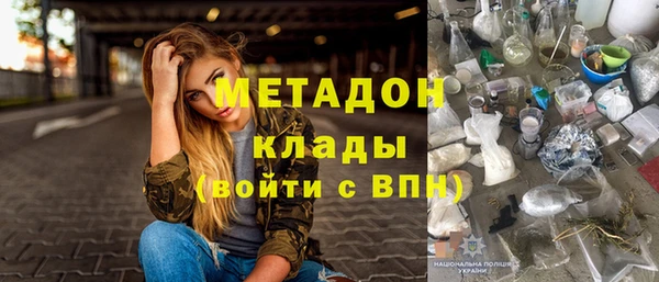 шишки Дмитровск
