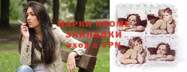 шишки Дмитровск
